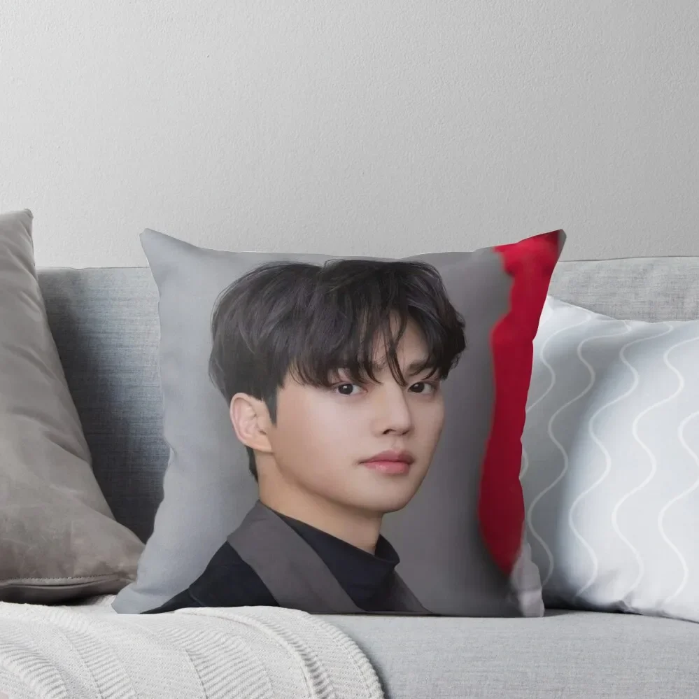 

song kang model, song kang best boy #9 Throw Pillow Custom Cushion Photo Cushion Cover Luxury autumn pillowcase