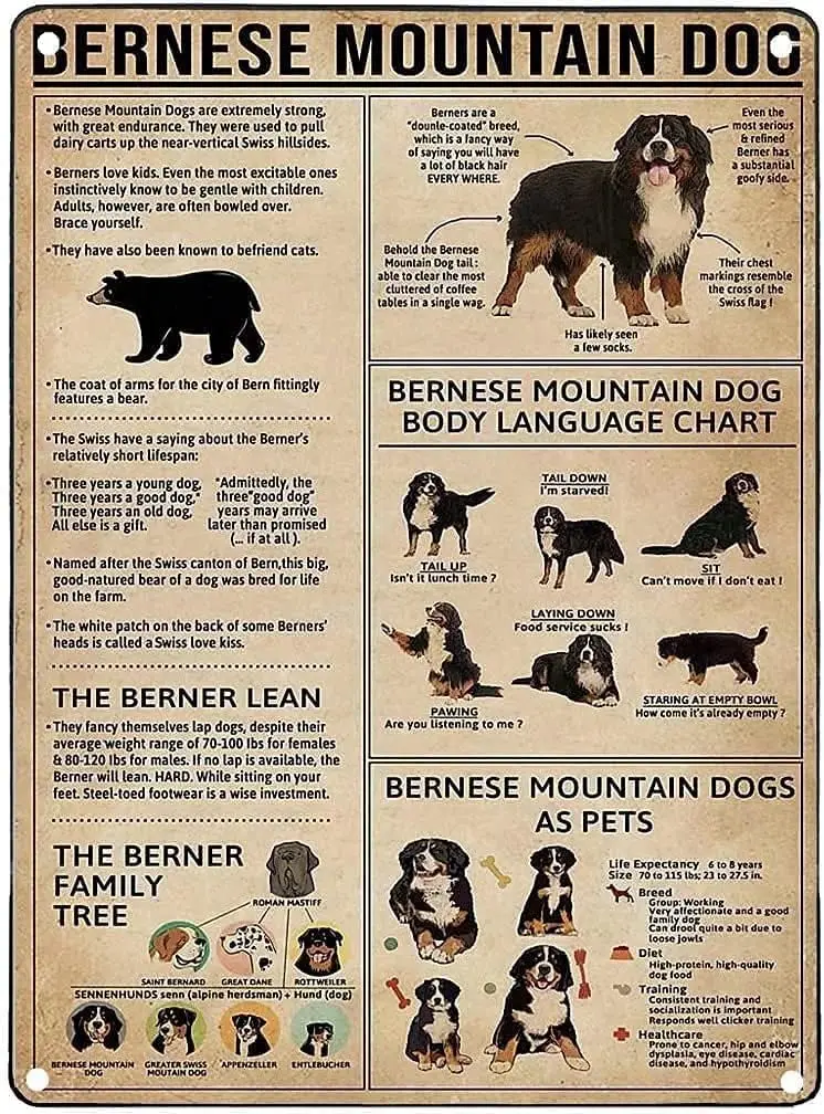 Bernese Mountain Dog Knowledge Metal Tin Sign,Room Decor Metal Wall Decoration Retro Bar Sign Home Kitchen People Cave Living Ro