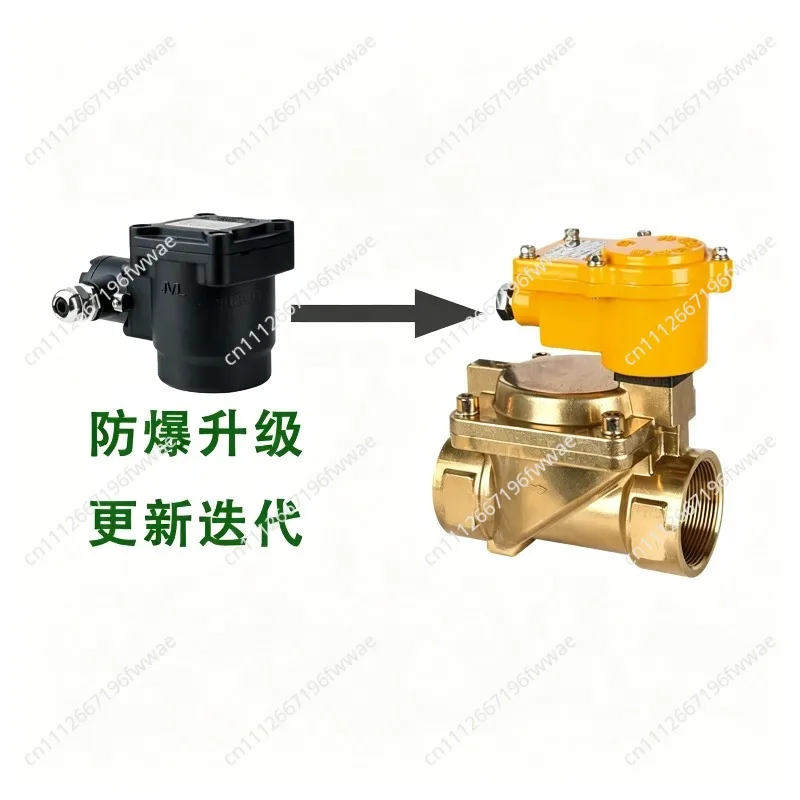 For Customized solenoid valve BC16-ZCA DN10 15 G3/8 150 ° C instead of BZCA explosion-proof CT6