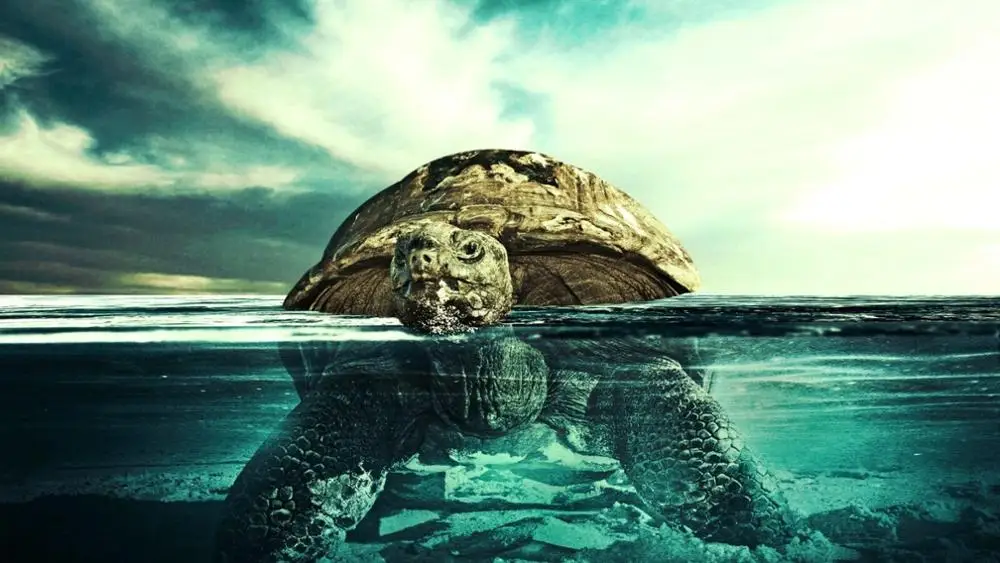 

Turtle under water Art Film Print Silk Poster Home Wall Decor 24x36inch