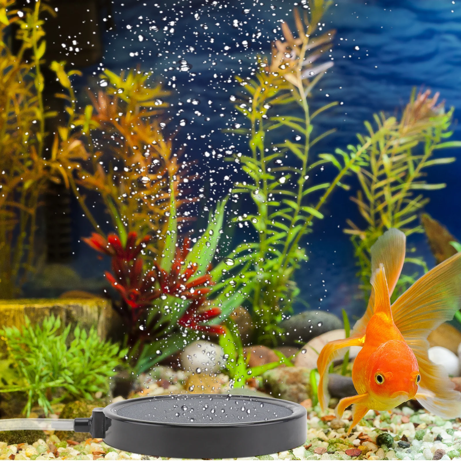 

1pc Aquarium Air Stone Disc Fish Tank Oxygen Bubble Stone High Temp Reusable Durable Air Pump Accessory For Fish Tank