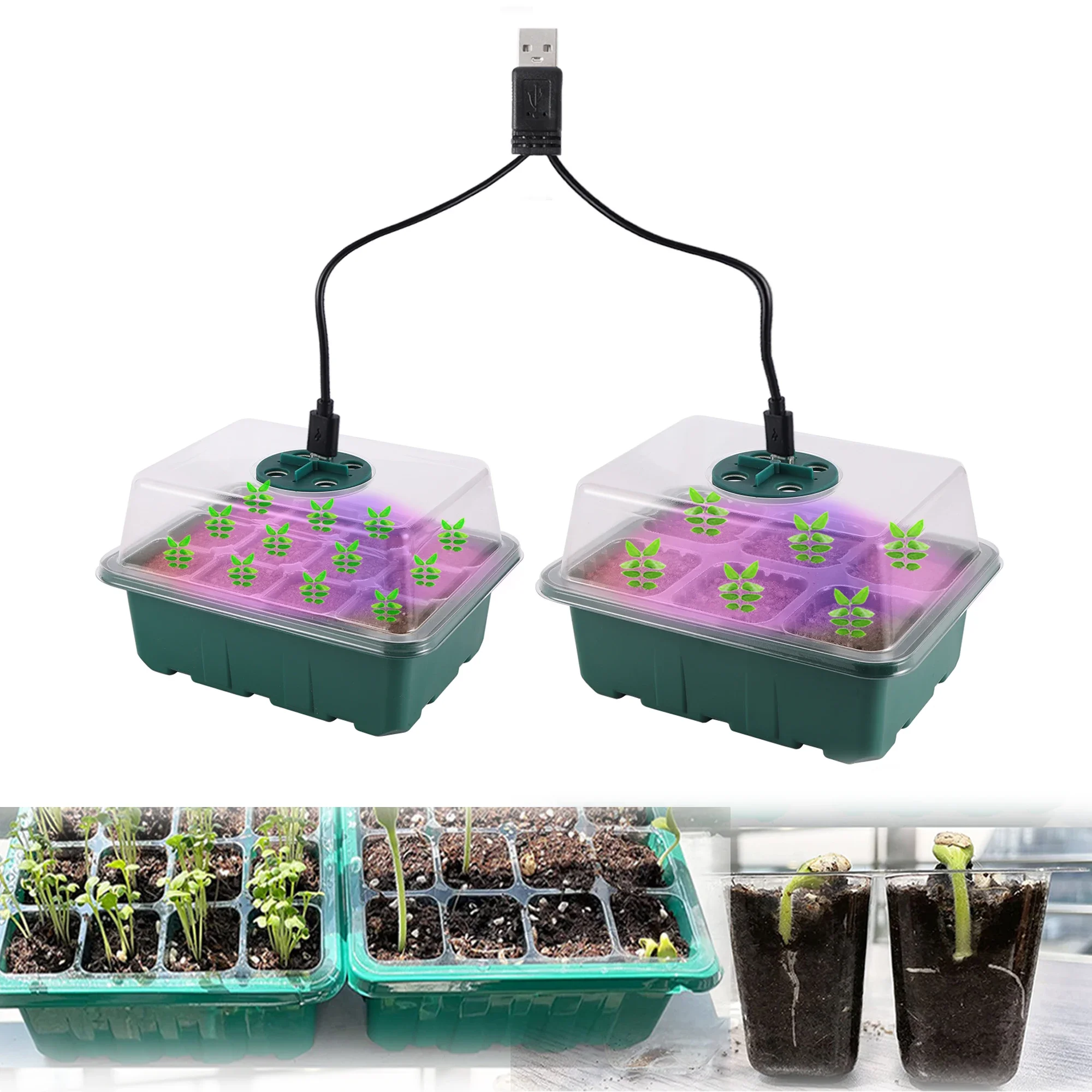 Seed Starter Tray Box with Adjustable Ventilation & Humidity  6/12  Cells + LED Grow Light for Nursery Pot Seedling Germination