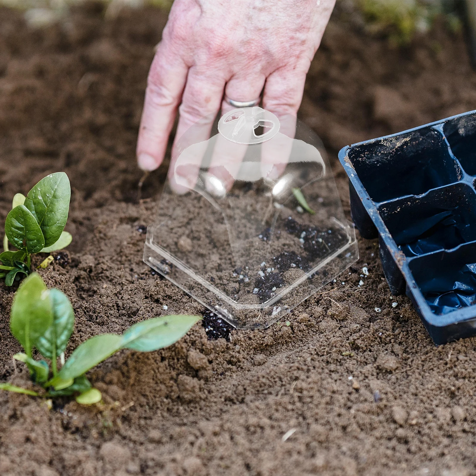 

10Pcs Clear Plastic Dome Garden Cloche Succulent Plants Protector Reusable Humidity Retention Transparent Covers