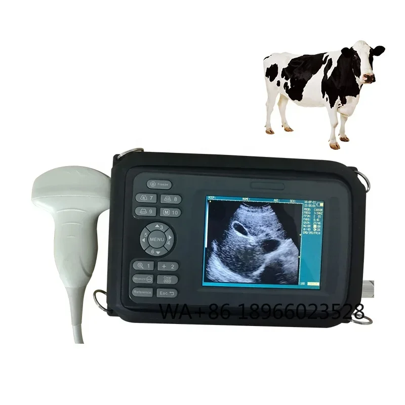 

Vet Pets Ultrasound Scanner Handheld Device Digital Portable Linear Probe Horse Animal Ultrasound Machine Veterinary Sonar