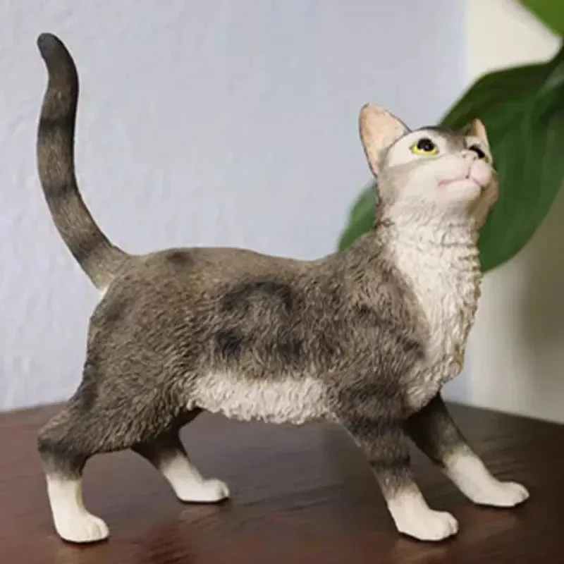 Model kota amerykańskiego Wirehair w skali 1/6, symulacja, do ekspozycji figurek żołnierzy, kolekcja, ozdoba, prezent, rękodzieło, zabawka dla zwierząt.