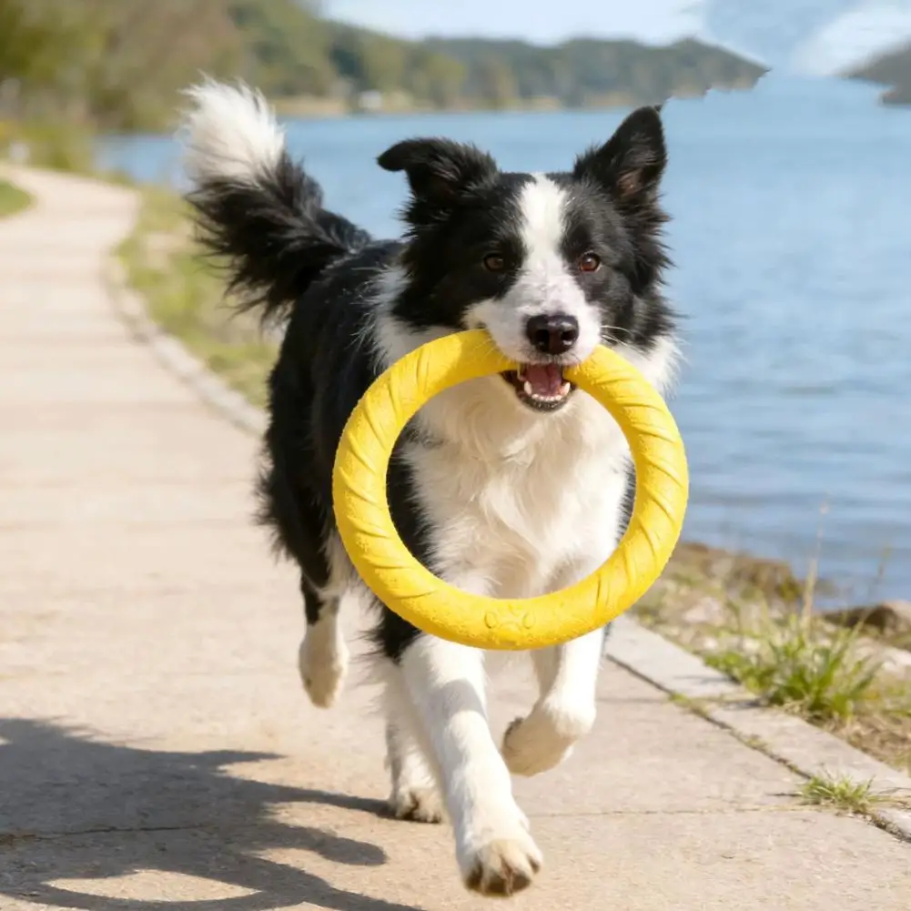 Dog Ring Toys Indestructible Chewing Flying Floating Training Tools Fetch for Small Medium Large Dogs Training Ring Puller
