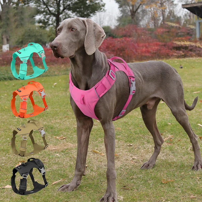 

Waterproof Breathable Dog Harness Lightweight Comfortable Adjustable Escape-Proof Vest for Large Dogs Labrador Golden Retriever