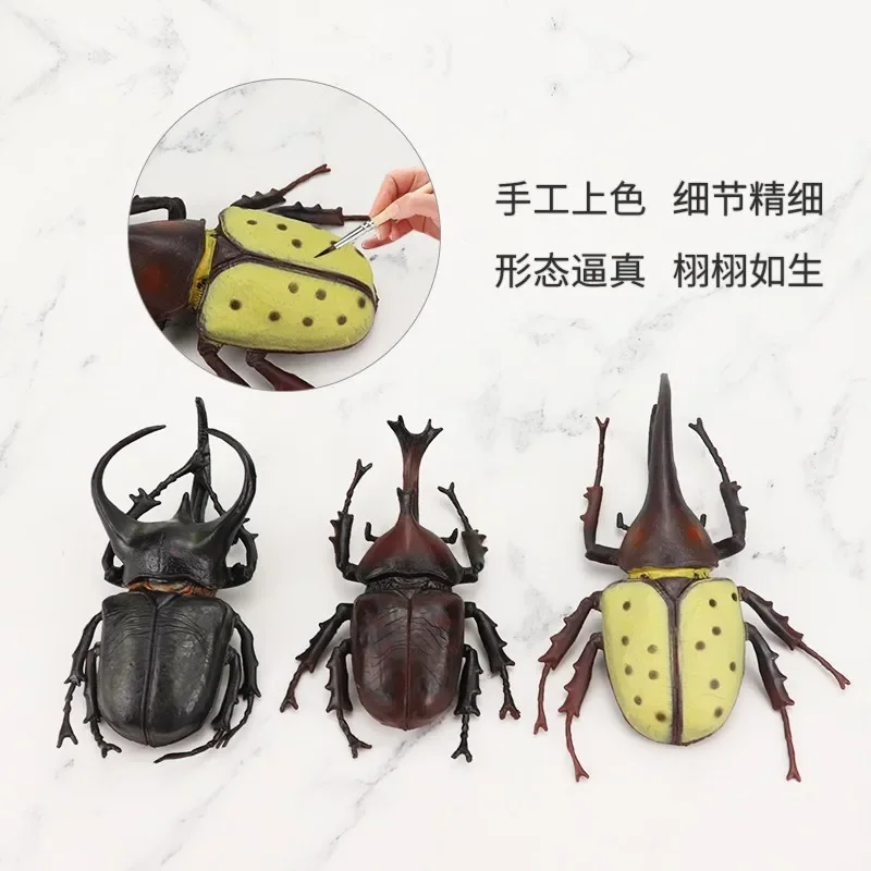 Wild Insect Animals Model Unicorn Beetle Action Figures Figurine Miniature Education Collection Kid