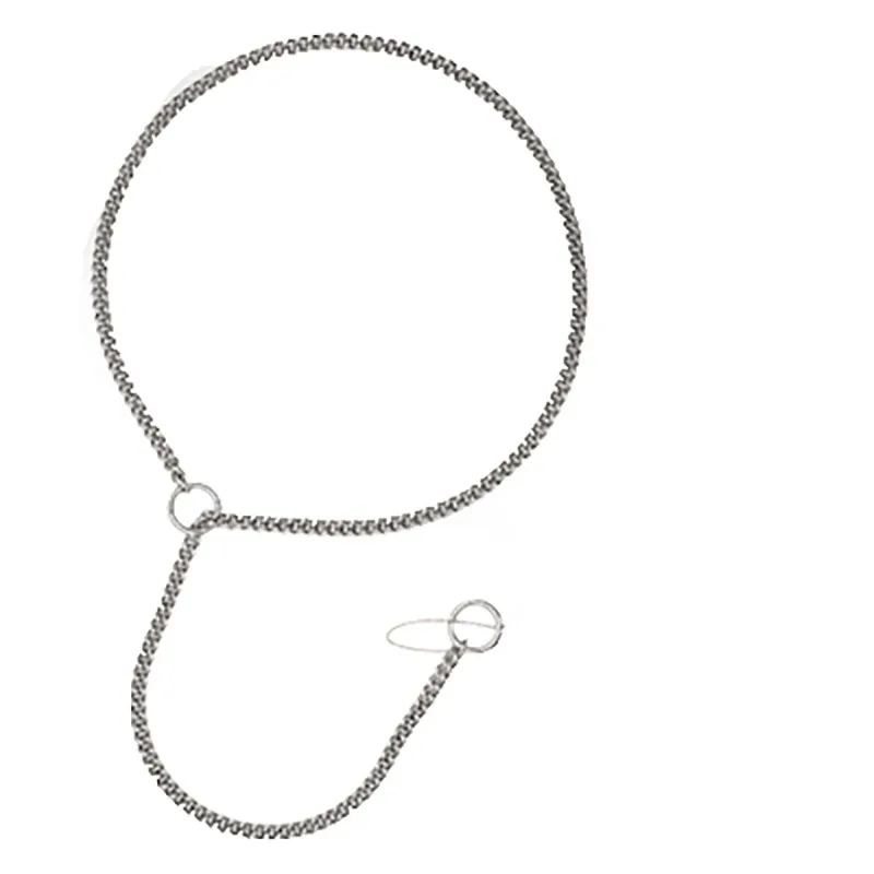 

Bone chain pet p chain leash collar