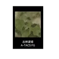 ATFG