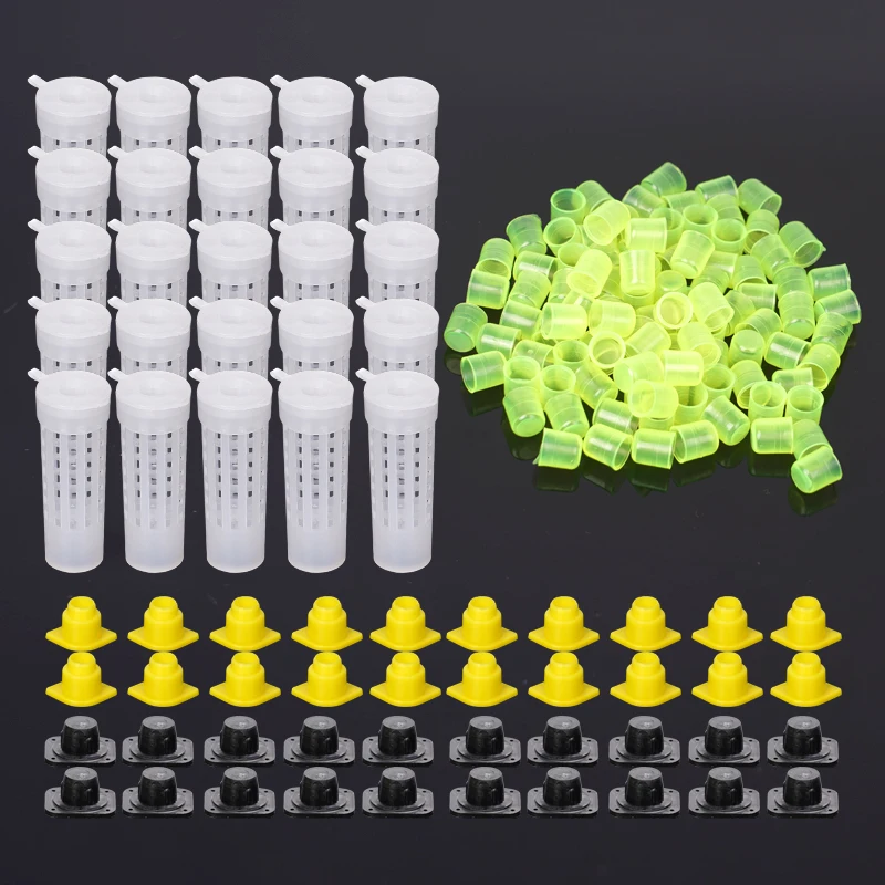 20Set Beekeeping Tool Set Queen Bee Cage Cages King Queen Catcher Box Bee Cell Cups Complete Kit Bee Isolation Protection Tools
