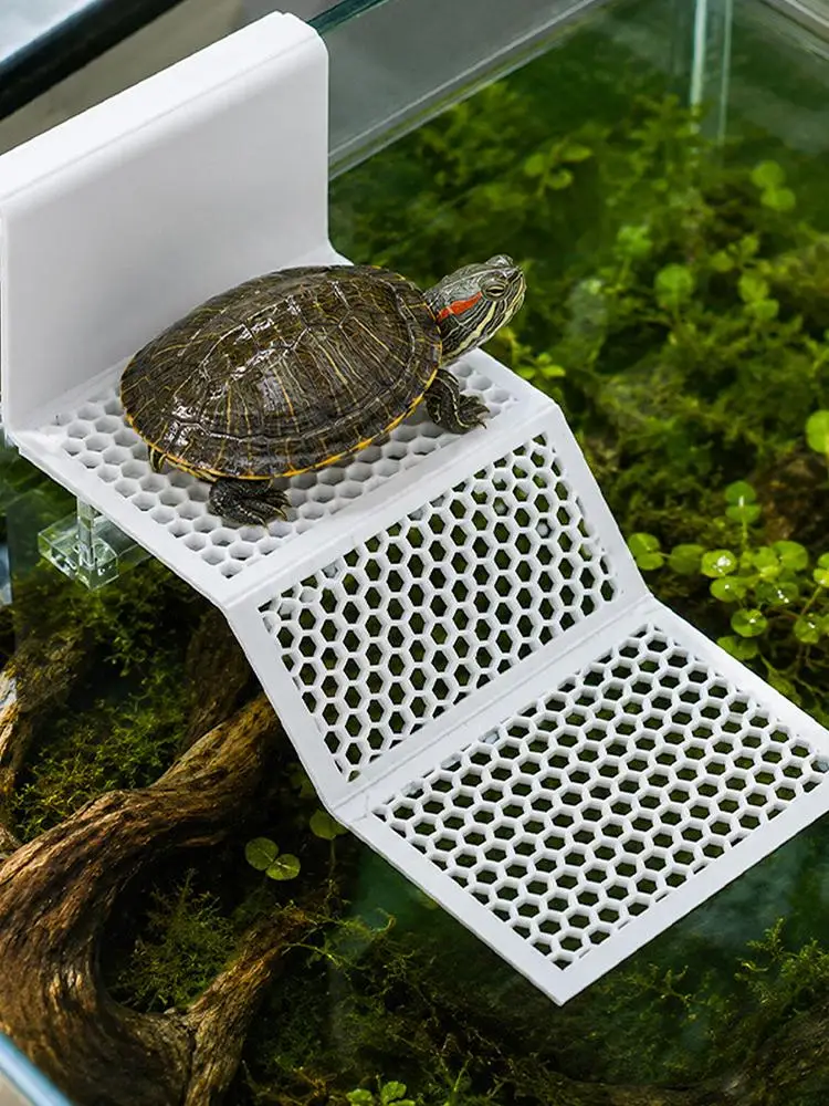 Verstellbare Saugnapf-Schildkröten-Plattformen zum Abkochen, hängende Reptilien-Ruhestätte mit Clip, Aquarium-Rampe für Schildkröten, Frösche, Neptūnsalamander – Detail 2