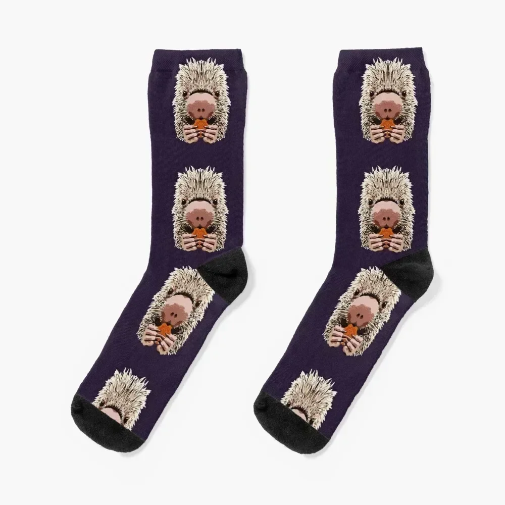 

Prehensile Tailed Porcupine Socks soccer anti-slip hiphop sports stockings christmas stocking Men Socks Women's