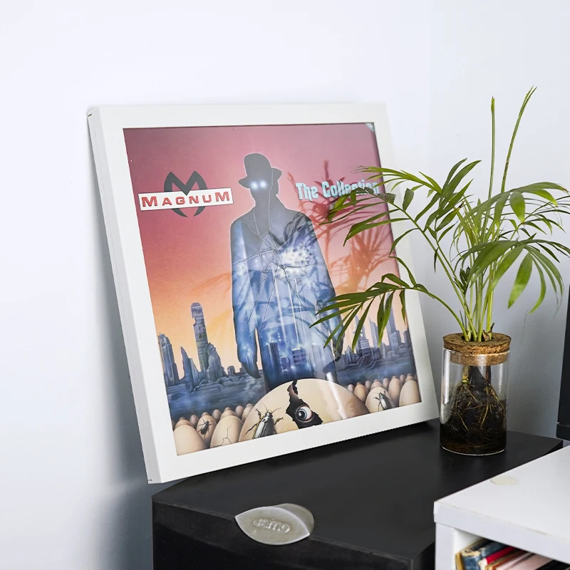 Hot 3 Color LP Record Photo Frame Display For Wall Mount Shelf 12 Inch High Quality Frame Perfect for Vinyl Record LP Storage