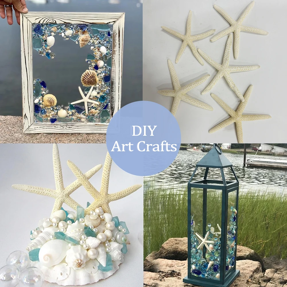 Artificial Starfish Solid Color Decorative Resin Beach Coastal Starfish Nautical Ornament For Wedding Party Home Decoration