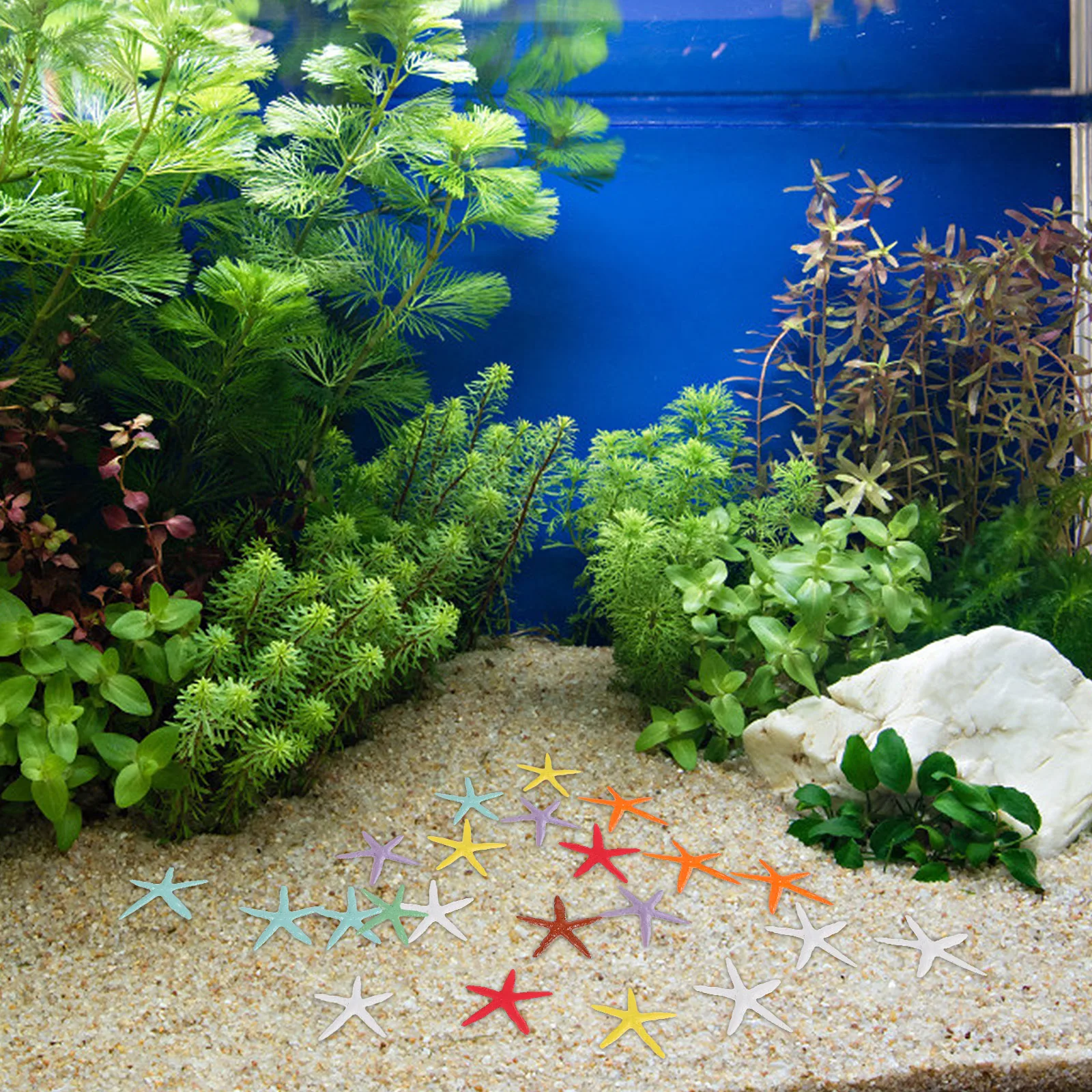 

24 Pcs Resin Tank Decoration Accessories Miniature Realistic Sea Stars Craft Decor Fish Tank naments Micro L for Fish