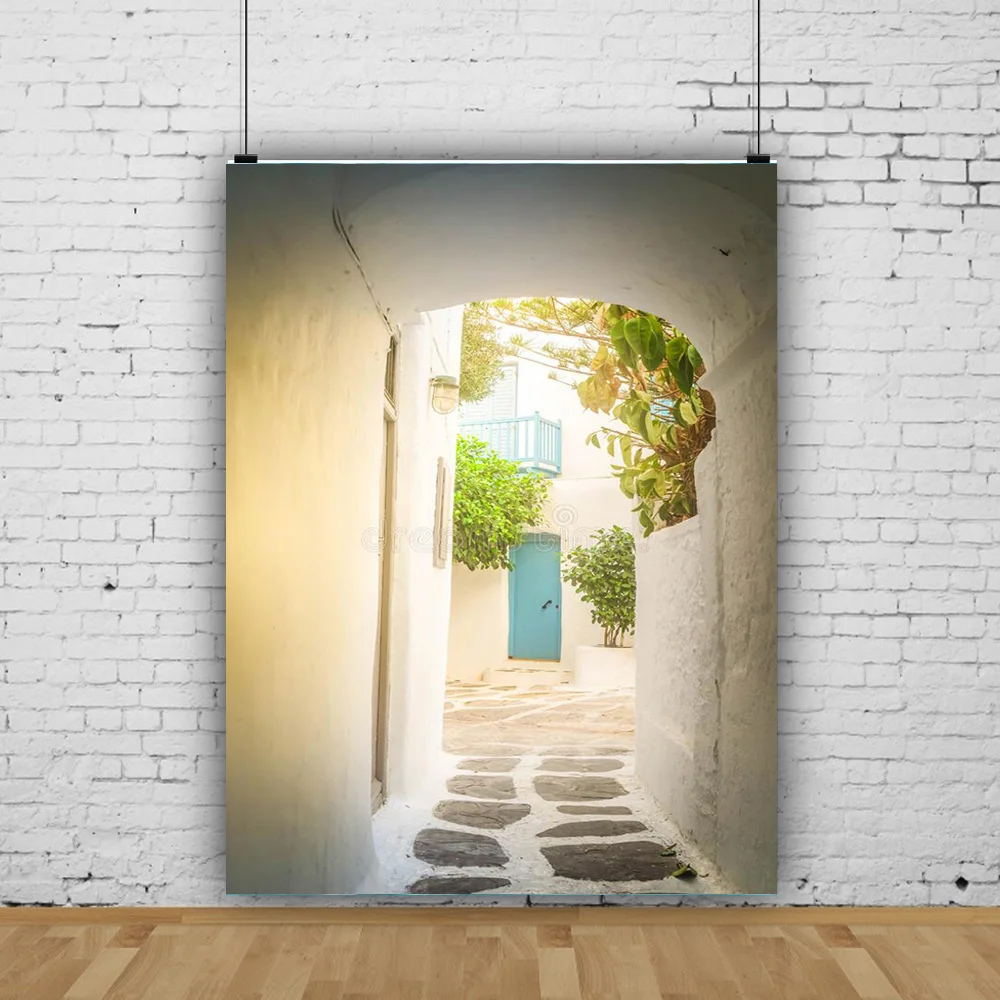 Fotos de estilo europeo para recién nacidos y mascotas, accesorios de fondo de fotografía Retro, paisaje costero, calle, boda, JDH-07