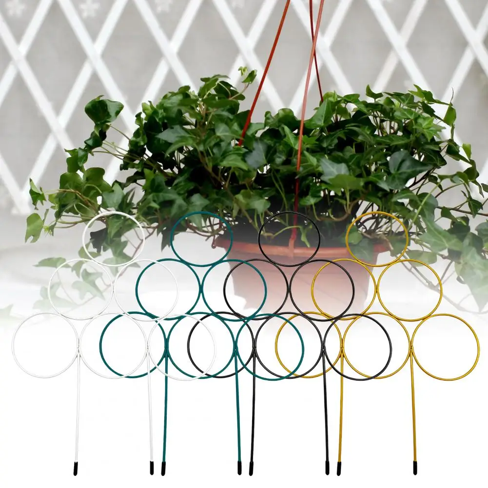 

Iron Trellis Black Coated Garden Trellis Gardening Tool Potted Plants Climbing Round Potted Plant Support Climbing Trellis