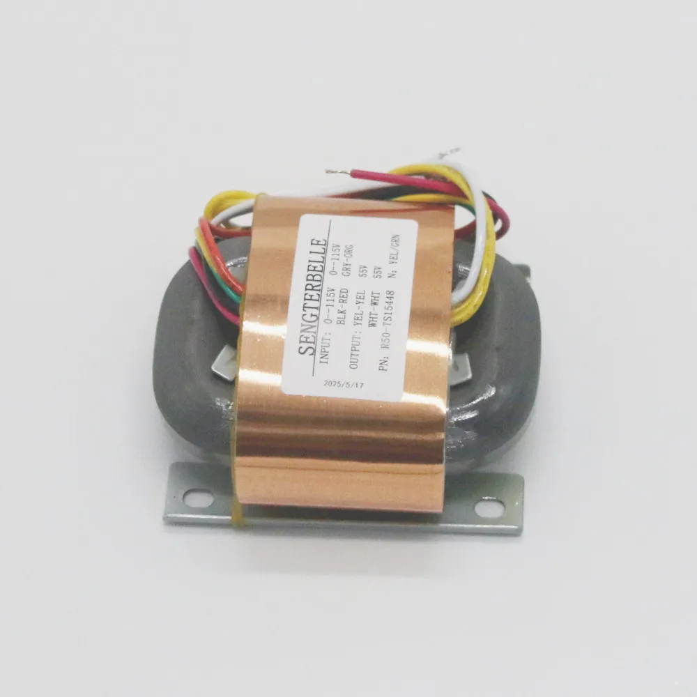 HiFi 1 قطعة 65VA R-Core Auido محول 0-55 فولت 0-55 فولت لتمرير P1.7 Preamp