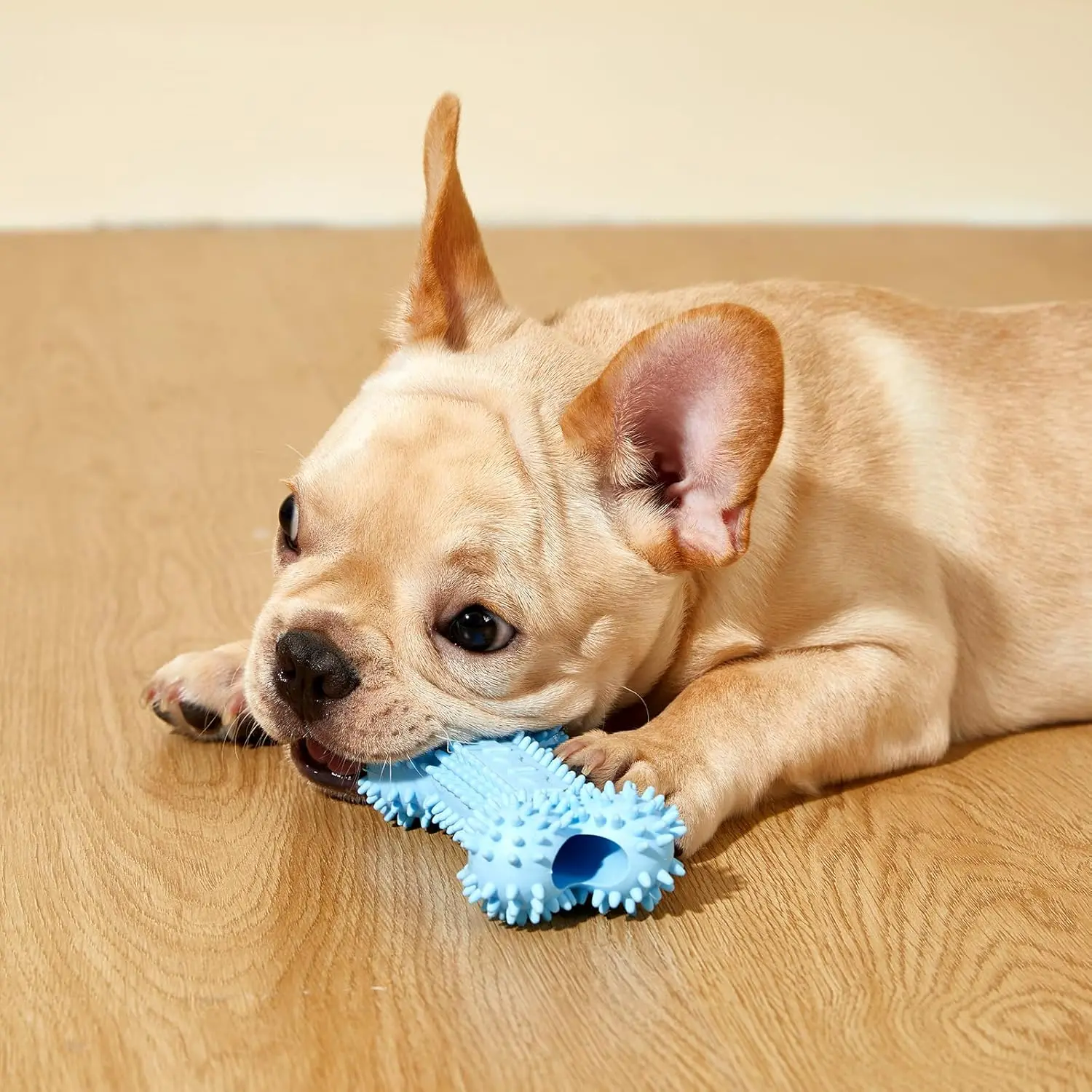 Kauspielzeug für Haustiere mit Knochenformen, Zähneknirschen, hält Zähne und gesund, Katzen- und Hundezubehör, Stressabbau-Spielzeug