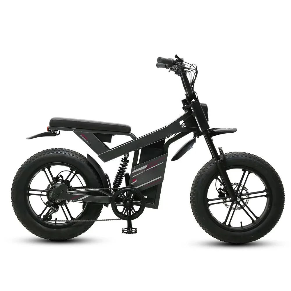 RRE TXED new product launch 20-inch alloy frame 7-speed brushless motor 48V 13Ah 500W lithium battery, fat tire electric motorcy