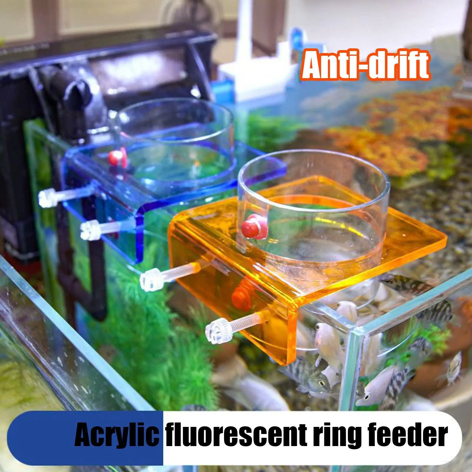 Aquarium Fish Tank Aquatic Feeder Transparent Arcylic Floating Food Feeding Ring Betta Fish Tank Shrimp Feeder Aquarium Supplies
