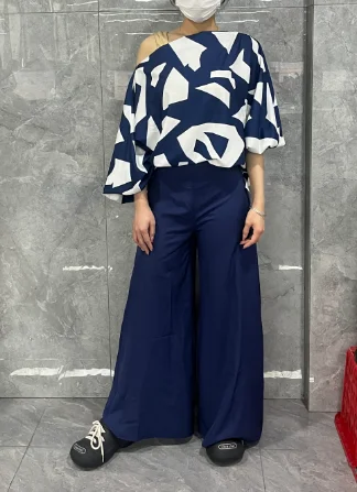 Women Spring/summer Two Piece 2024 Basic Versatile Set Long Sleeve Skew Neck Colorblock Batwing Sleeve Top & Wide Leg Pants Set