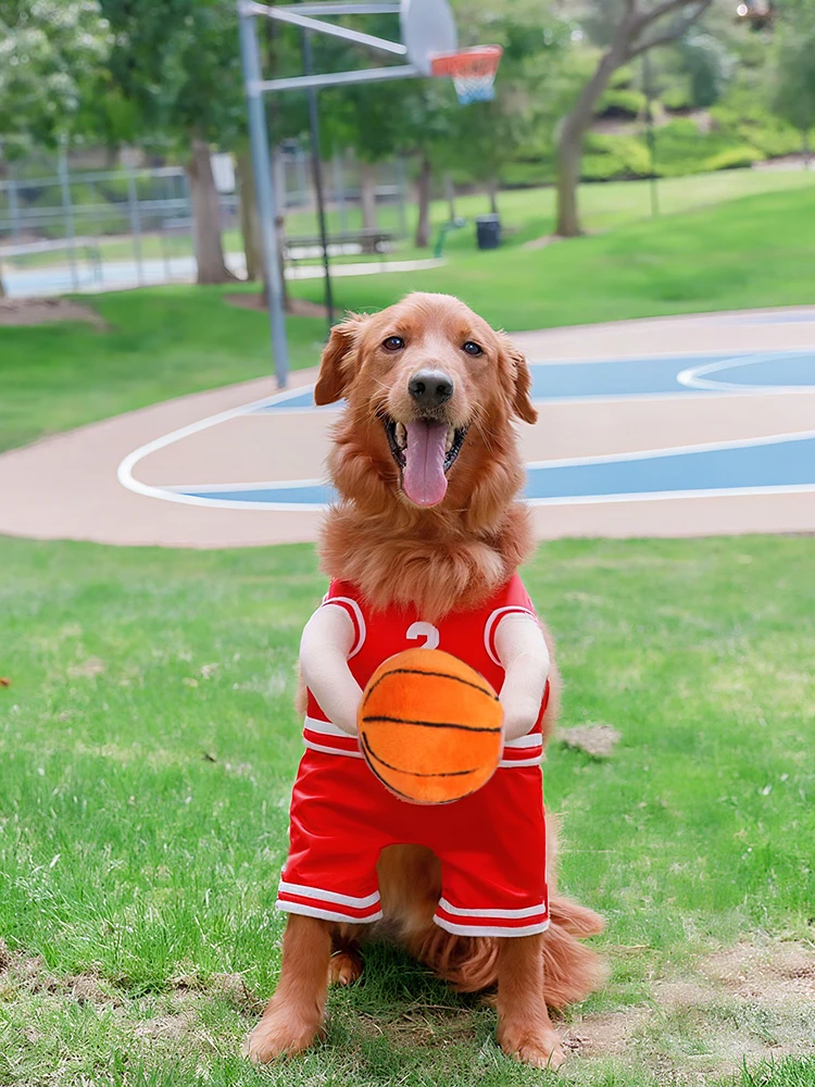 Grand chien Halloween vêtements drôle basket-ball Cosplay Costume pour animaux de compagnie pour petits moyens grands chiens chat fête nouveauté habiller vêtements de sport