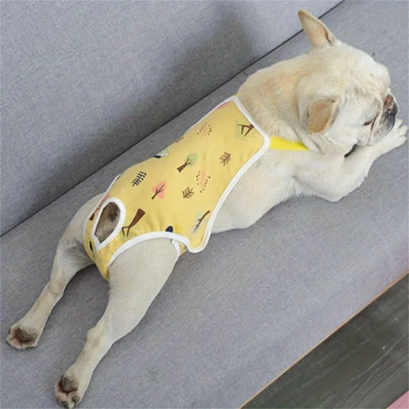 Washable Absorbent Pet Diapers Teddy Pants for Small Medium Dogs Puppy Incontinence Pads Reusable Physiological Shorts for Dogs