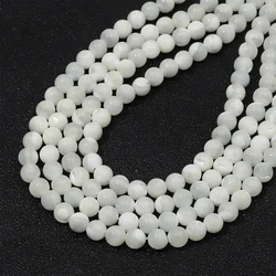 2/3/5/6mmWholesale Natural shell Beaded White Round shape craft shell loose beads For jewelry making DIY Bracelet necklace acces