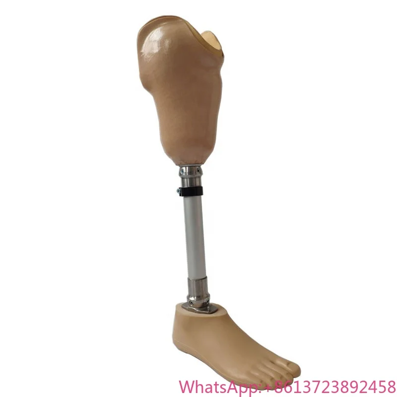 

Leg Prosthet Artificial Limbs Legs Prosthetic for BK Amputee Prosthetic Leg