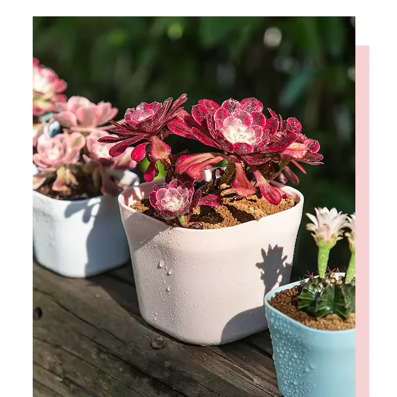 Modern Plastic Flower Planter Pots Classic Small Desktop Succulent Plant Pot Nordic Simple Planter