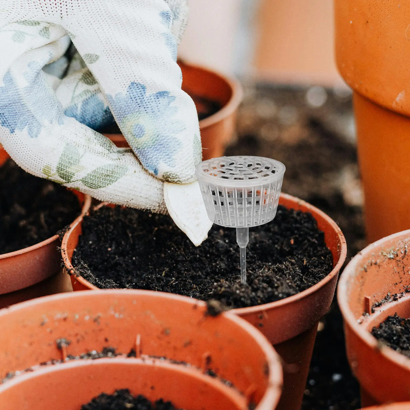 

Набор из 10 пластиковых контейнеров для удобрений с крышками, инструмент для садоводства, для орхидей и бонсай, емкость для посадки растений