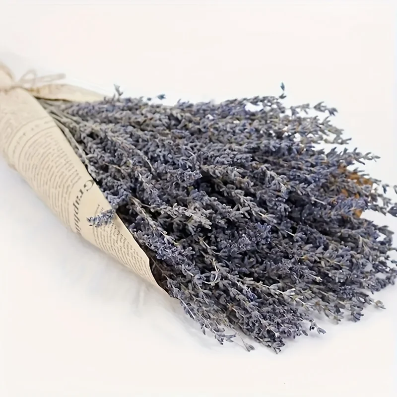 لافندر مجفف ممتاز، 42.93 سم، 100 سيقان. ديكور طبيعي للمنزل وحفلات الزفاف والهدايا. لا حاجة للطاقة.