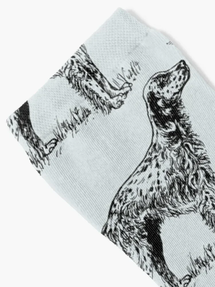 English Setter Socks compression custom sports Socks Girl Men's