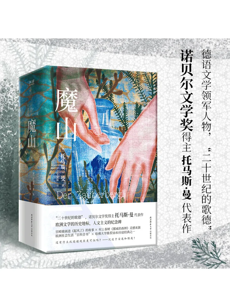 

Book-Winshare Magic Mountain 2 Volumes in Total