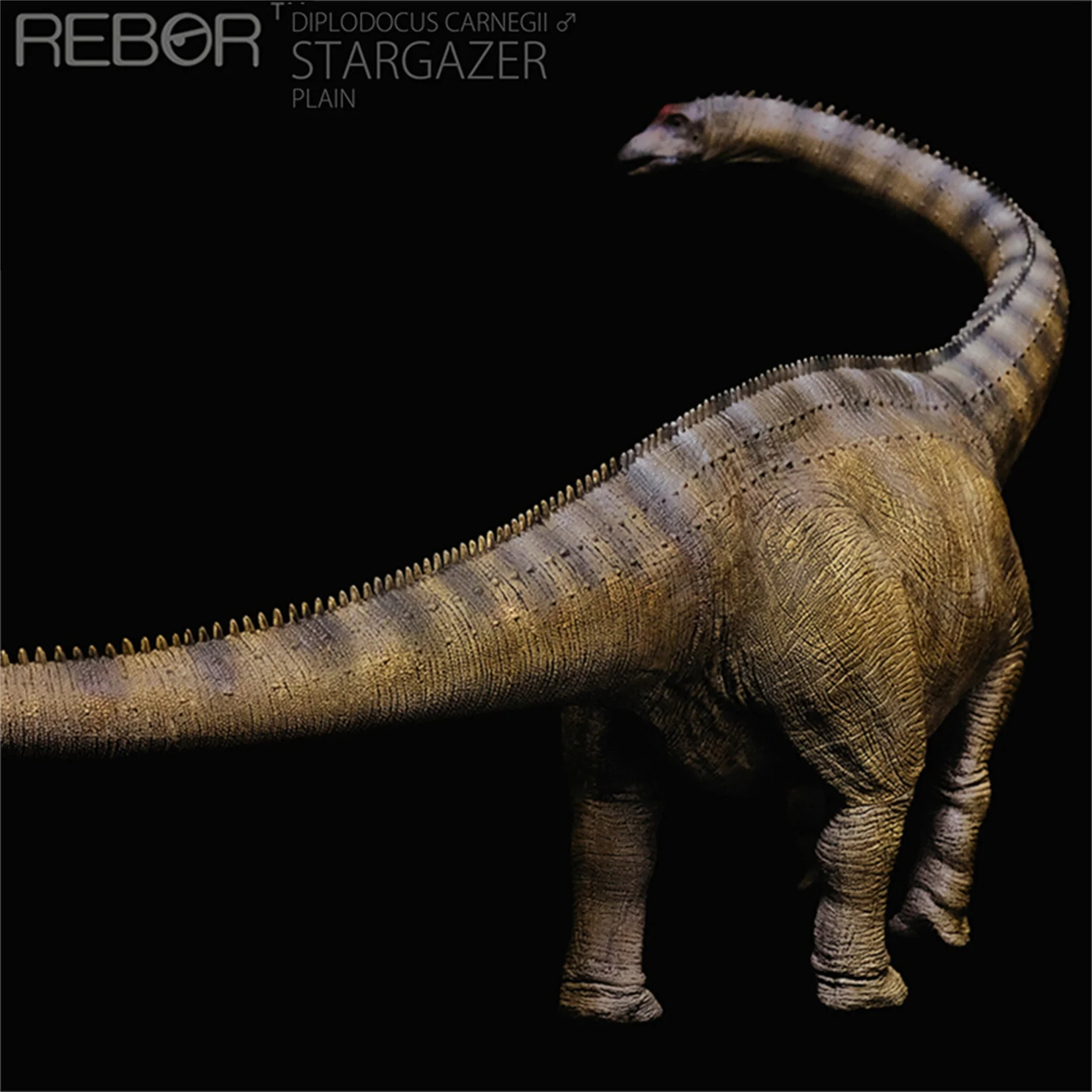 REBOR 1:35 ディプロドクスモデルコレクション 恐竜フィギュア装飾