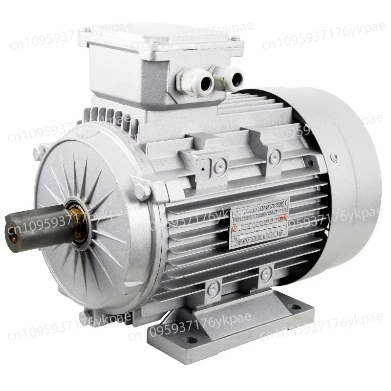 

Synchronous and Asynchronous Start Motors