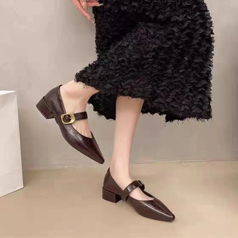 

Туфли Мэри Джейн с острым носком, женские весенние новые модные маленькие туфли в стиле ретро на толстом каблуке с неглубоким носком