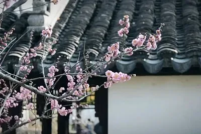 

1/8 1/10 Simulation Metal Winch For RC Crawler Car Trxs TRX4 RC4WD D90 Axial SCX10 II III MST Redcat Accessories