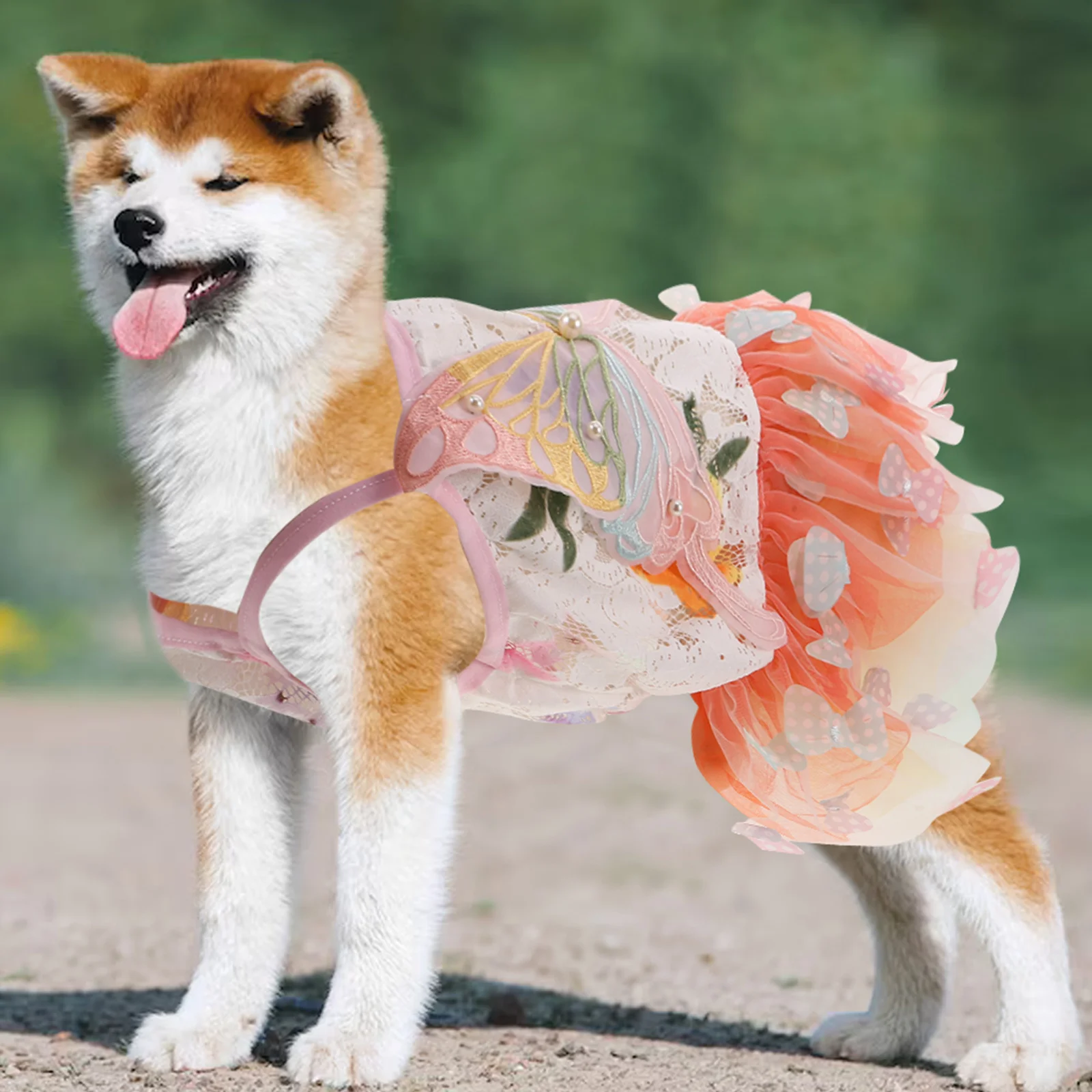

Princess Dog Dress Butterfly Costume Puppy Tutu Skirt Lightweight Holiday Birthday Wedding Xxl Chest Dog Butterfly Dress