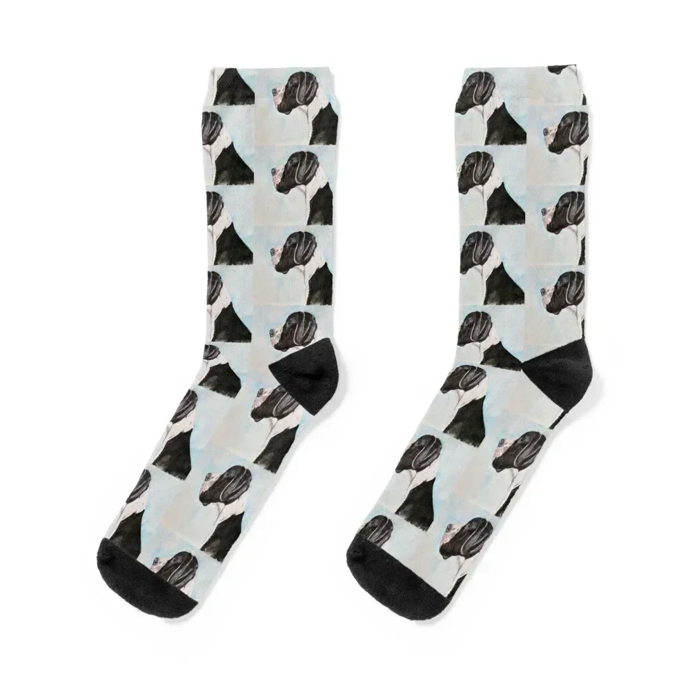 

Great Dane Socks happy sports and leisure christmass gift bright garter Socks Women Men's