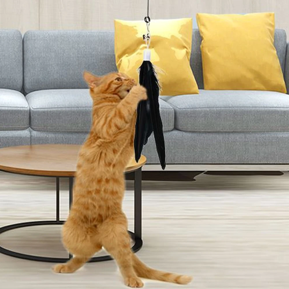 色とりどりの大きな猫のテーザー,羽の交換,ベル付きペンダント,交換玩具,交換用アクセサリー,猫用品