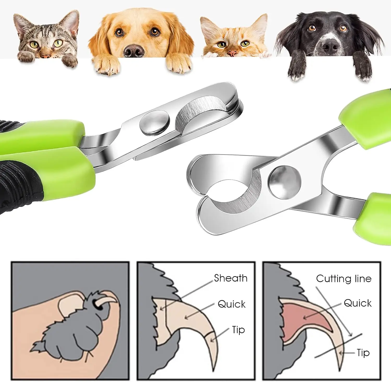 Stainless Steel Dog Nail Clipper Scissors Cat Nail Toe Claw Clippers Trimmer Grooming Tools for Animals General Pet Supplies