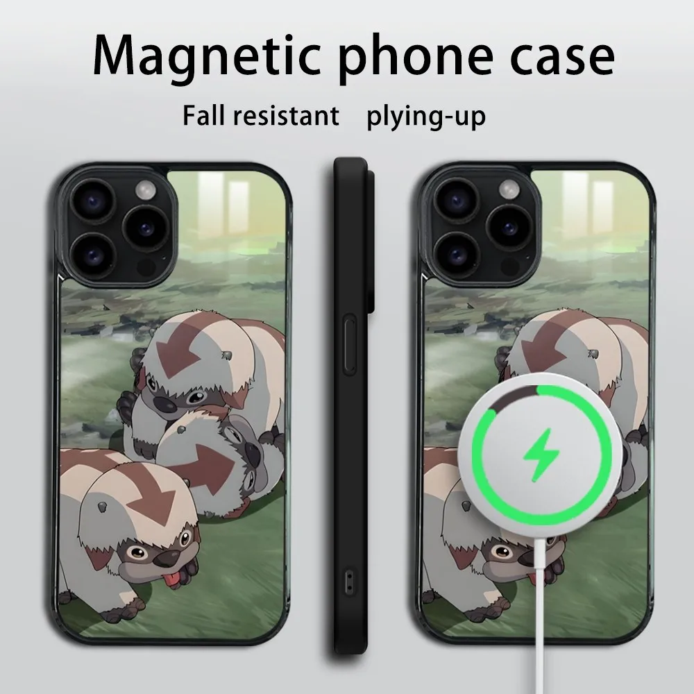 Avatar The Last Airbender Phone Case For iPhone 16 15 14 13 12 11 Pro Max Plus Mini Magsafe Mirror Wireless Magnetic Cover