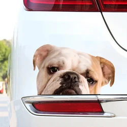 DK153# 17x10.5cm English Bulldog Car Sticker Car Stickers Waterproof Vinyl Decal For Truck Motorcycle Scooter Auto Accessories