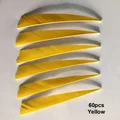 60pcs yellow