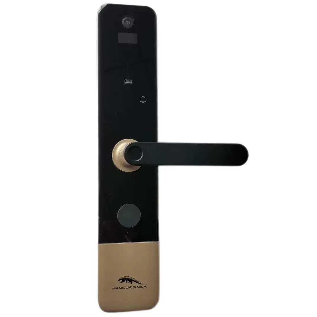 A85 Toepassing Vingerafdruk Deurslot Cat-eye Camera Binnendisplay Smart Lock