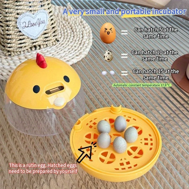 Mini Egg Incubator Set, Holds 5 Chicken Eggs or 10 Bird Eggs, 5V 2A Safe Voltage with Egg Candler, Cute Compact Hatcher for Home