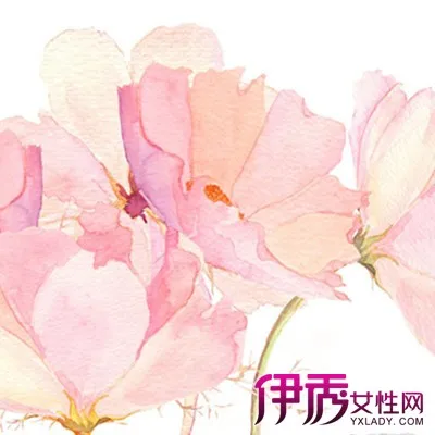 

1/12 Monster Truck Modified Body Shell Wheels Upgrade Parts Kit for Wltoys 124016 124017 124018 124019 RC Buggy Car Hobby